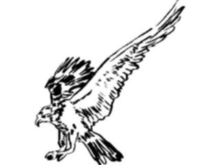 Sticker Custom Preview Image #025661 Animals Line Art Hawk1