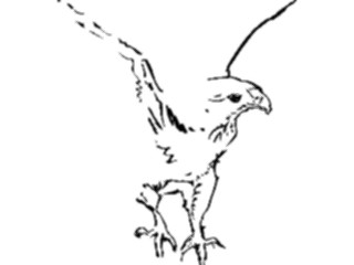 Sticker Custom Preview Image #025662 Animals Line Art Hawk2