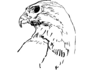 Sticker Custom Preview Image #025664 Animals Line Art Hawk4