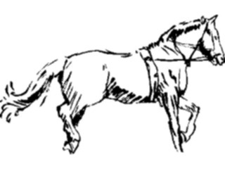 Sticker Custom Preview Image #025666 Animals Line Art Horse2