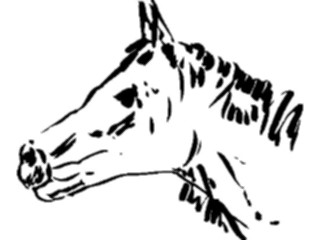 Sticker Custom Preview Image #025667 Animals Line Art Horse3