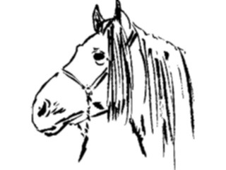 Sticker Custom Preview Image #025668 Animals Line Art Horse4