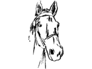 Sticker Custom Preview Image #025669 Animals Line Art Horse5