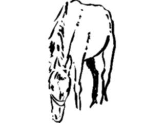 Sticker Custom Preview Image #025671 Animals Line Art Horse7