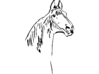 Sticker Custom Preview Image #025672 Animals Line Art Horse8