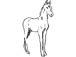 Sticker Custom Preview Image #025673 Animals Line Art Horse Foal