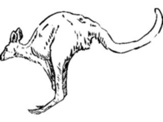 Sticker Custom Preview Image #025676 Animals Line Art Kangaroo