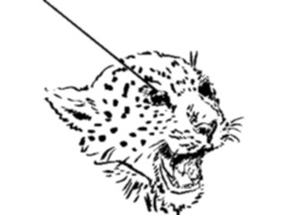 Sticker Custom Preview Image #025678 Animals Line Art Leopard