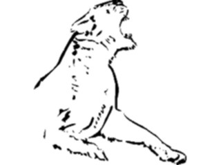 Sticker Custom Preview Image #025687 Animals Line Art Lioness Roaring