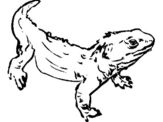 Sticker Custom Preview Image #025688 Animals Line Art Lizard1