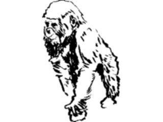 Sticker Custom Preview Image #025693 Animals Line Art Monkey3