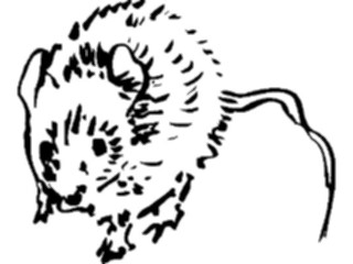 Sticker Custom Preview Image #025694 Animals Line Art Mouse