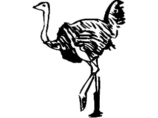 Sticker Custom Preview Image #025695 Animals Line Art Ostrich1