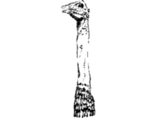 Sticker Custom Preview Image #025696 Animals Line Art Ostrich2