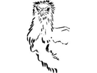 Sticker Custom Preview Image #025698 Animals Line Art Ostrich Chick