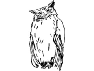 Sticker Custom Preview Image #025700 Animals Line Art Owl2