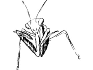 Sticker Custom Preview Image #025706 Animals Line Art Praying Mantis