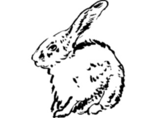 Sticker Custom Preview Image #025709 Animals Line Art Rabbit3