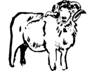 Sticker Custom Preview Image #025710 Animals Line Art Ram1