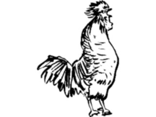 Sticker Custom Preview Image #025718 Animals Line Art Rooster1