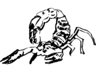 Sticker Custom Preview Image #025720 Animals Line Art Scorpion