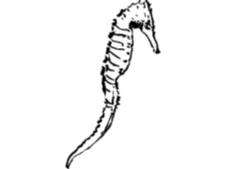 Sticker Custom Preview Image #025721 Animals Line Art Sea Horse