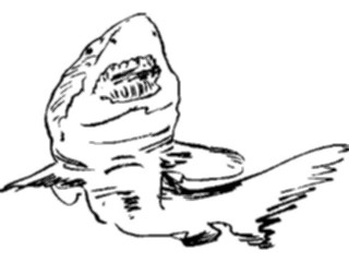 Sticker Custom Preview Image #025724 Animals Line Art Shark2