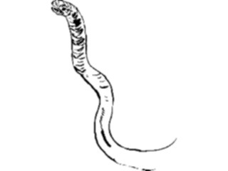 Sticker Custom Preview Image #025728 Animals Line Art Snake