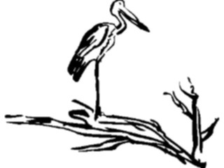 Sticker Custom Preview Image #025732 Animals Line Art Stork1