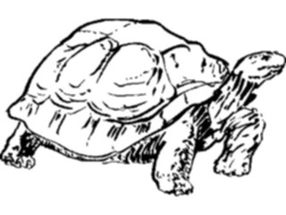 Sticker Custom Preview Image #025734 Animals Line Art Tortoise1