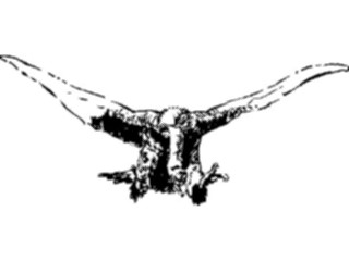 Sticker Custom Preview Image #025736 Animals Line Art Vulture1