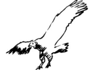 Sticker Custom Preview Image #025738 Animals Line Art Vulture3