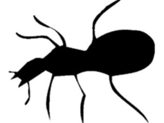 Sticker Custom Preview Image #025746 Animals Silhouettes Ant1