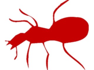 Sticker Custom Preview Image #025749 Animals Silhouettes Ant Red2