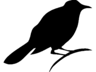 Sticker Custom Preview Image #025789 Animals Silhouettes Bird11