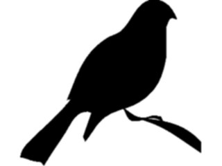 Sticker Custom Preview Image #025790 Animals Silhouettes Bird12