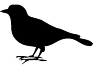 Sticker Custom Preview Image #025792 Animals Silhouettes Bird14