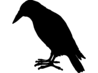 Sticker Custom Preview Image #025794 Animals Silhouettes Bird16