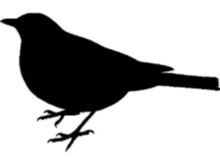 Sticker Custom Preview Image #025802 Animals Silhouettes Bird24