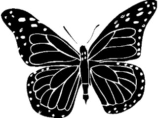 Sticker Custom Preview Image #025836 Animals Silhouettes Butterfly7