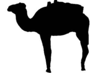 Sticker Custom Preview Image #025840 Animals Silhouettes Camel2