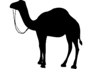 Sticker Custom Preview Image #025844 Animals Silhouettes Camel6