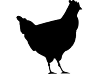 Sticker Custom Preview Image #025865 Animals Silhouettes Chicken1