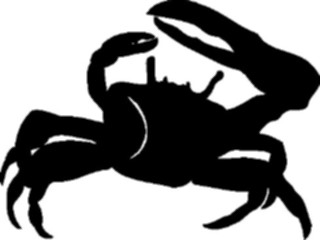 Sticker Custom Preview Image #025882 Animals Silhouettes Crab5