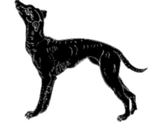 Sticker Custom Preview Image #025913 Animals Silhouettes Dog13