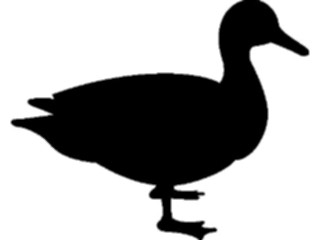 Sticker Custom Preview Image #025936 Animals Silhouettes Duck2