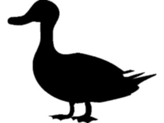 Sticker Custom Preview Image #025938 Animals Silhouettes Duck4