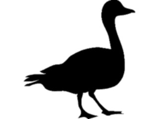 Sticker Custom Preview Image #025939 Animals Silhouettes Duck5