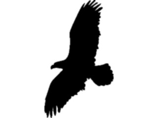 Sticker Custom Preview Image #025941 Animals Silhouettes Eagle2