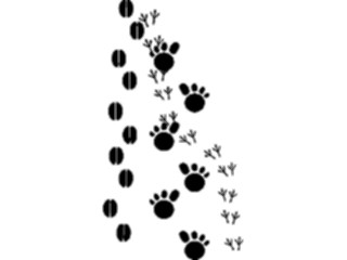 Sticker Custom Preview Image #026016 Animals Silhouettes Footprints1